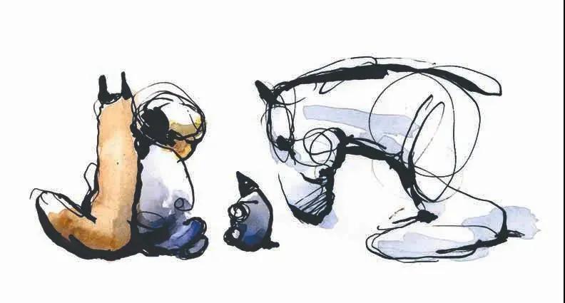 冷门书单推荐100本,目前最值得入手的5本书