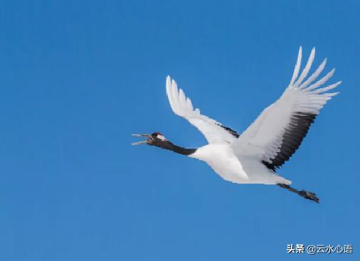 朱熹的名诗中蕴含哲理的诗句,朱熹的励志名诗