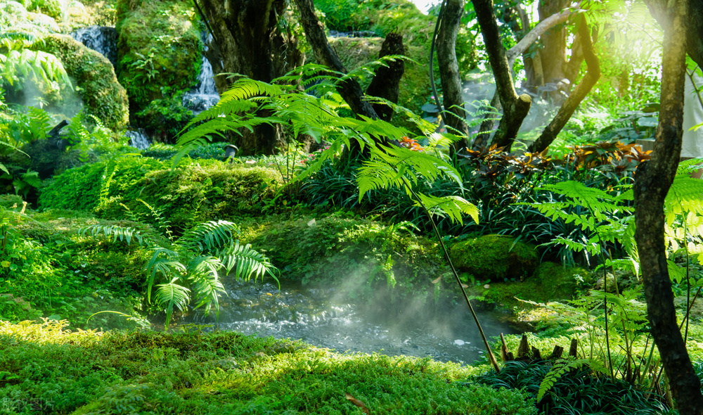危地马拉生活现状,第二次危地马拉