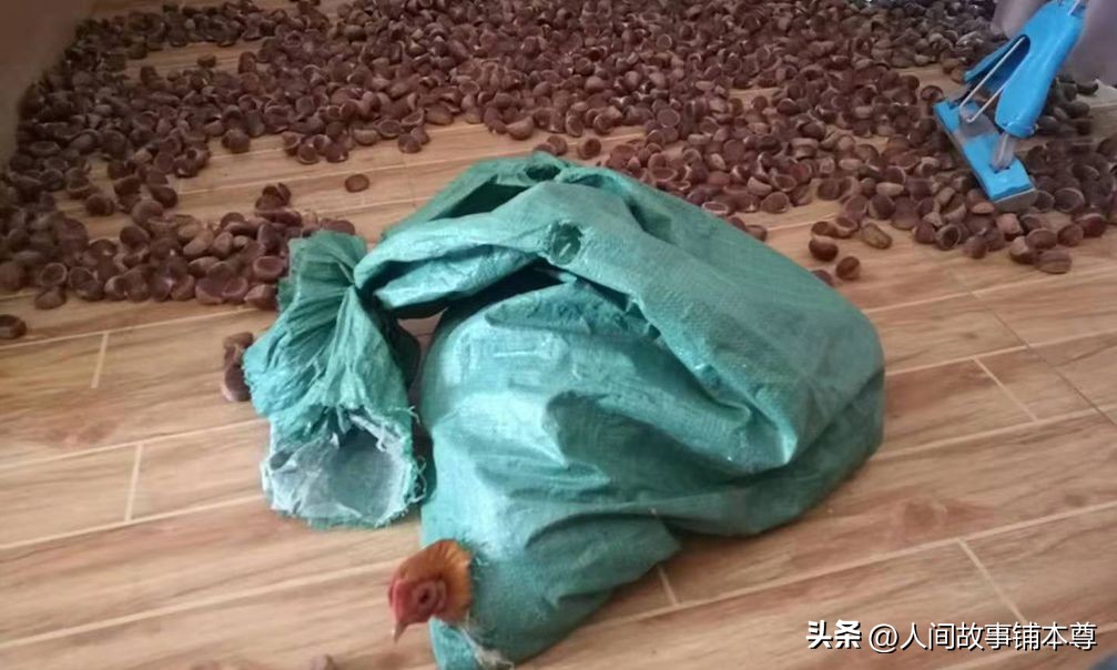 陈河扶贫手记15|在陈河村做代购的日子