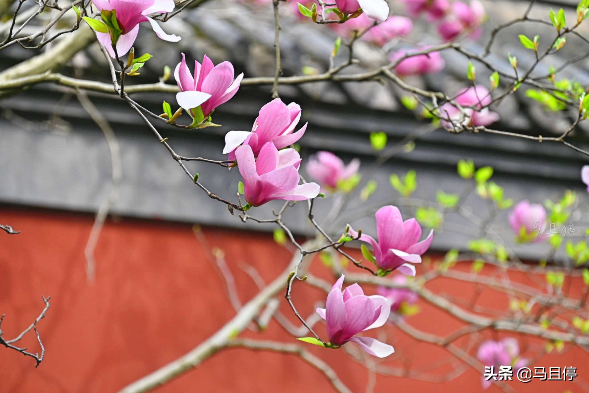 杭州五月最佳旅行地清单,四月西湖旅游攻略