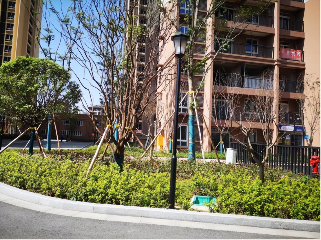 重庆近两年烂尾楼最新排名,重庆烂尾楼业主自救