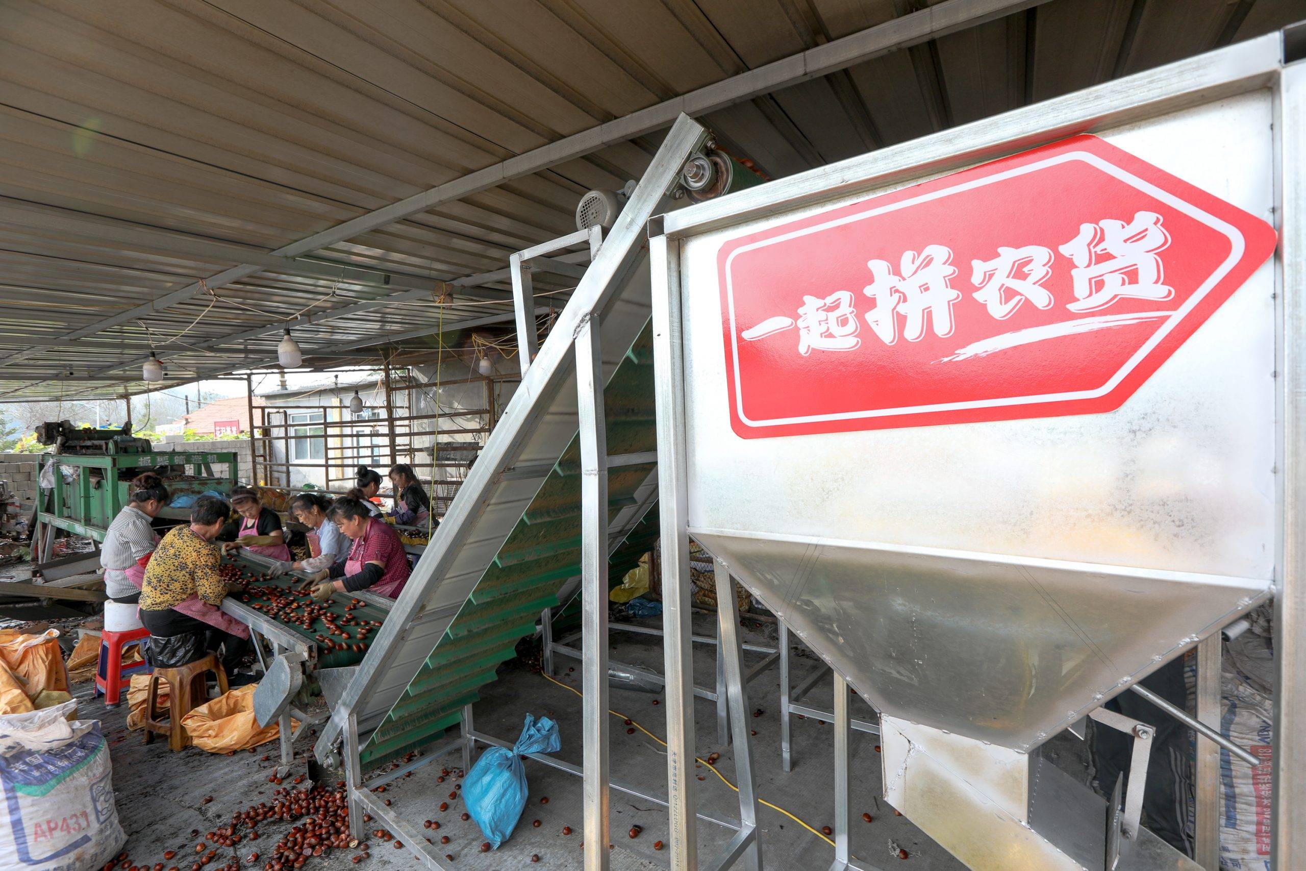 拼多多创始人黄峥为什么这么有钱,拼多多总裁黄峥创业成功的原因