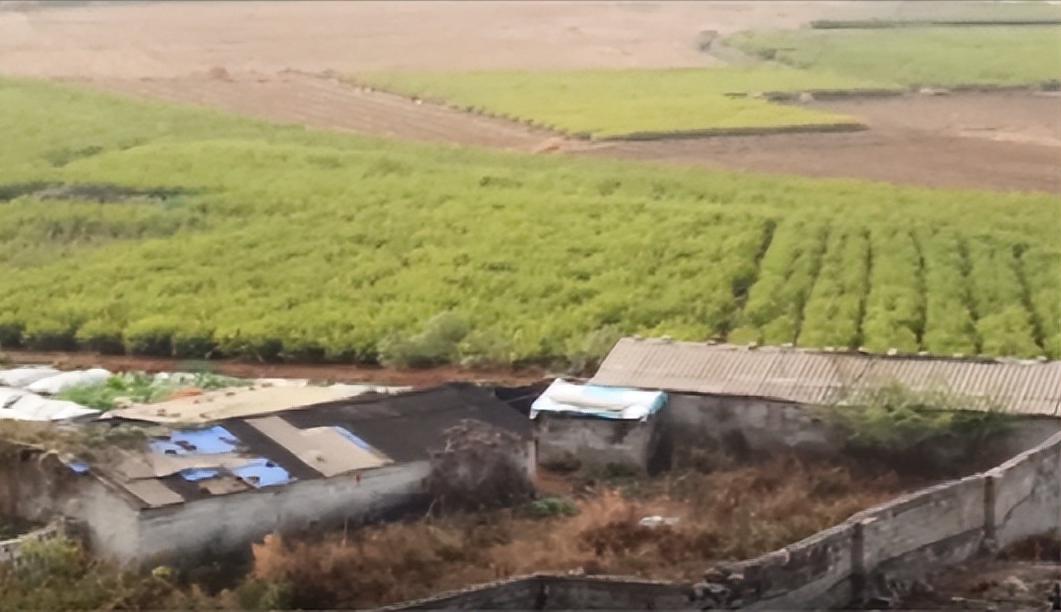 人老了还有消费欲望吗,人老了有求生欲望吗