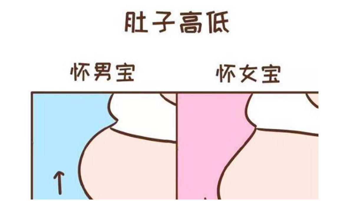 孕妈上怀与下怀有什么区别,孕妈上怀下怀