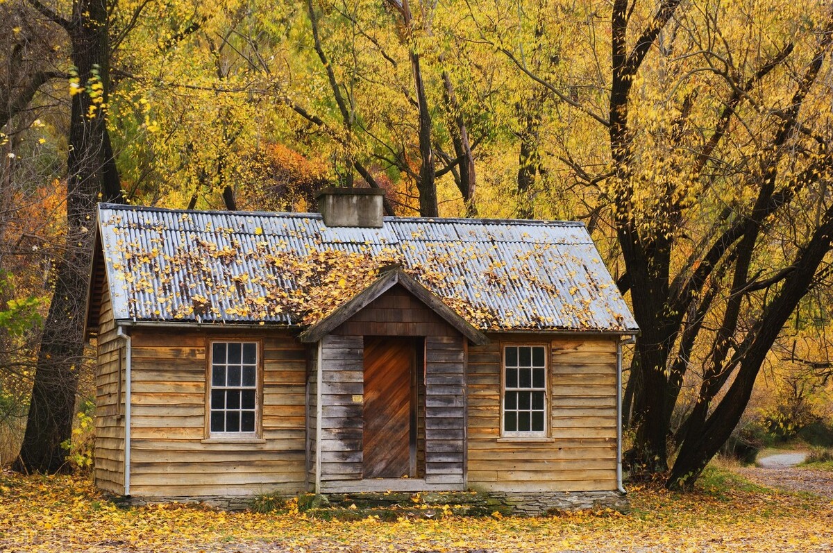 你善于适度认怂，有时候能避免*麻大**烦，职场之路走得更顺