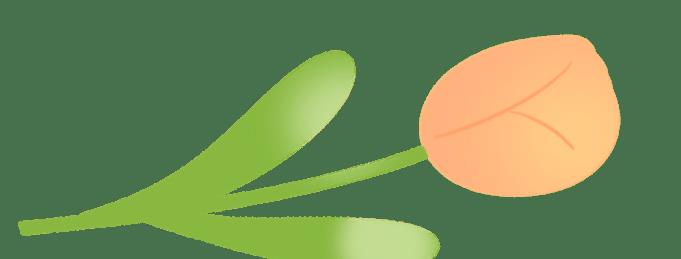 宝宝学走路有什么方法,宝宝学走路的方法有哪些