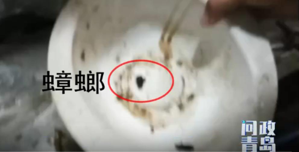 早上吃的全是预制菜,令人作呕的预制菜