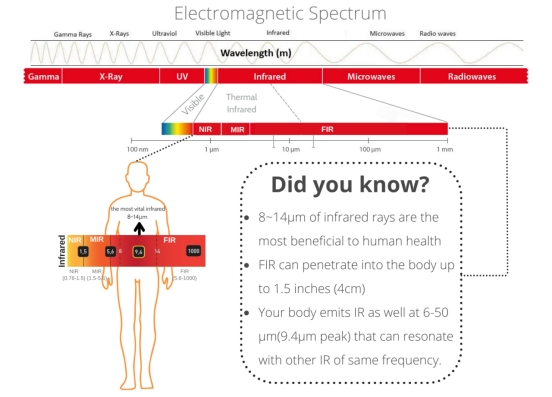 缓解压力的锻炼工具,缓解疲劳补剂