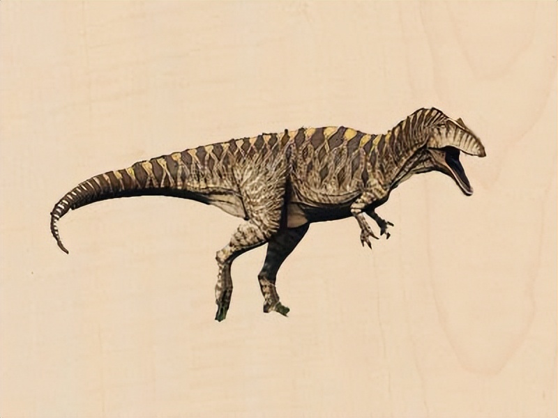 史前恐龙怎么折,恐龙化石折纸骨架