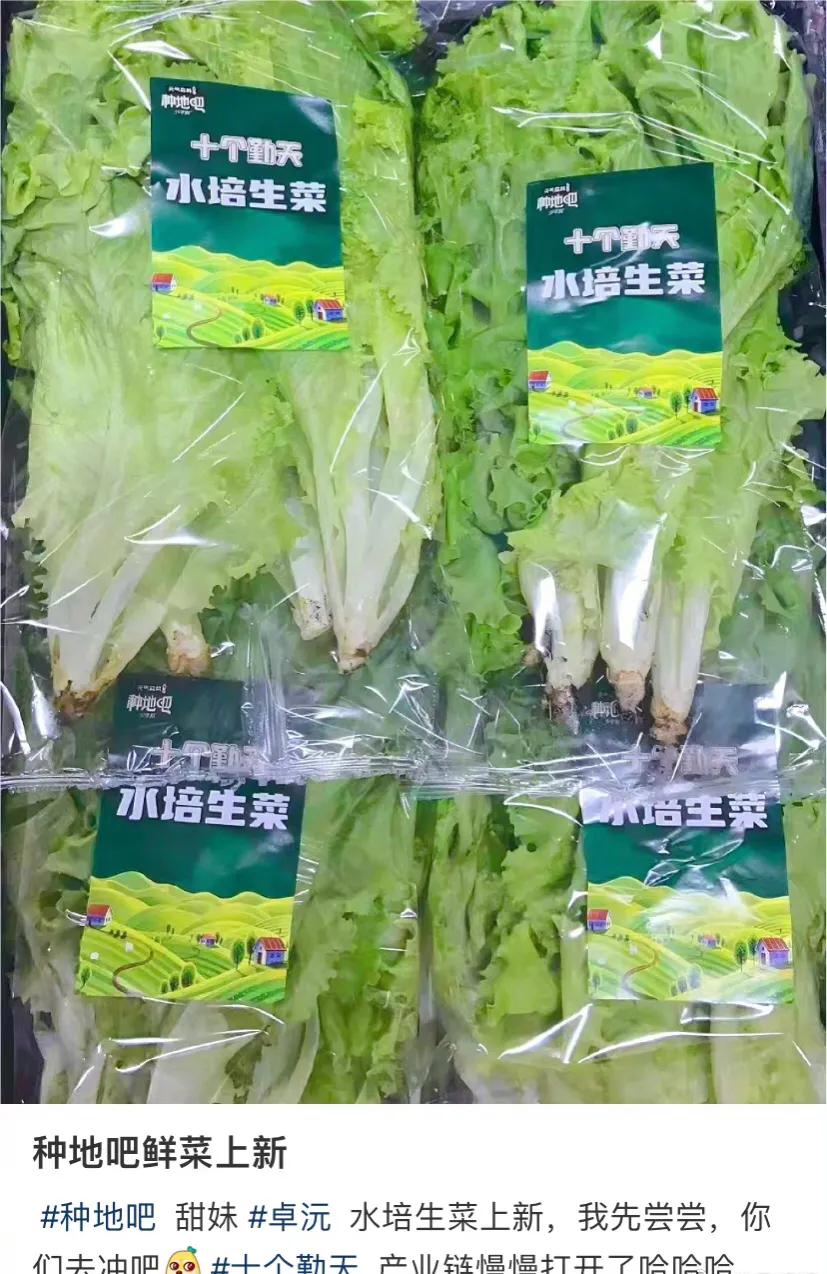 《种地吧》9.0分收官，获3.8亿投资，官媒力赞：相信土地的力量