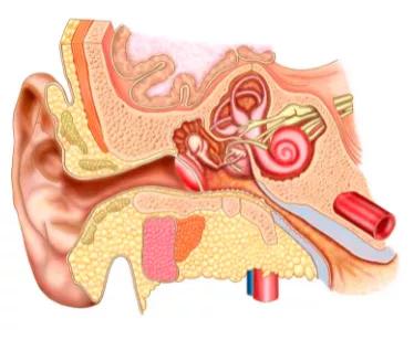 花滑表演选手与花滑运动员的区别,花滑最难的六种跳法