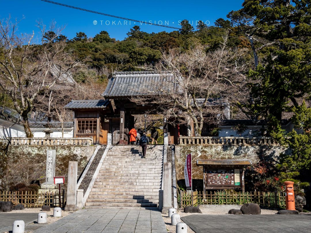 伊豆半岛两日游攻略,日本伊豆跟团旅游攻略