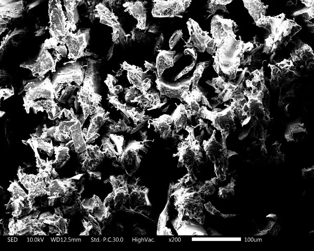 养猫卖宠物用品变现,养猫注意事项和骗局