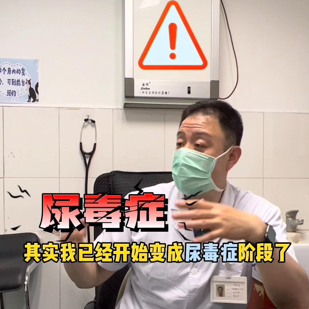 猫尿频和尿闭如何区分,猫尿频和尿闭跟猫粮有关系吗