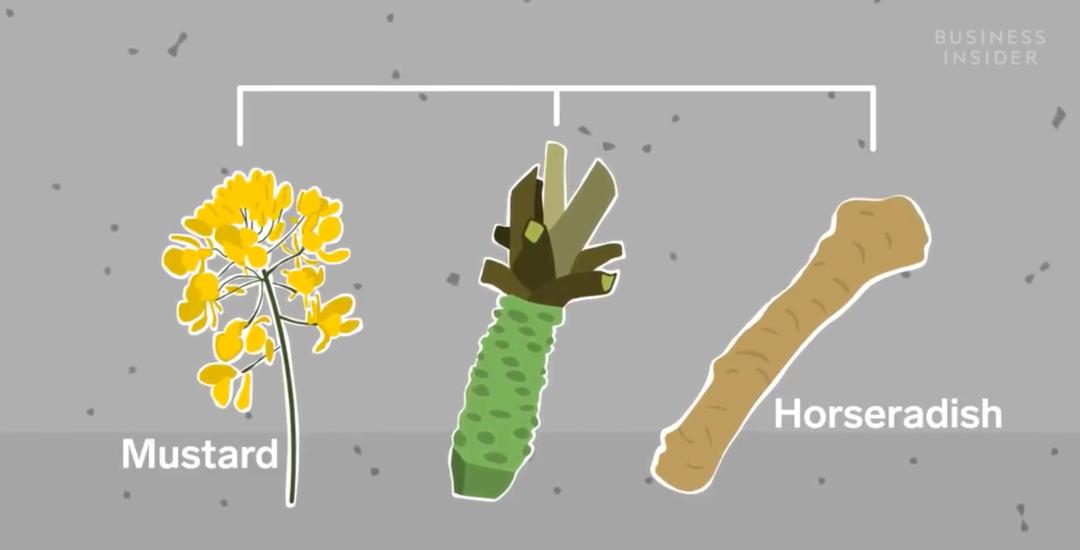 山葵辣根芥末的日语分别是什么,一文搞懂并口与串口的区别