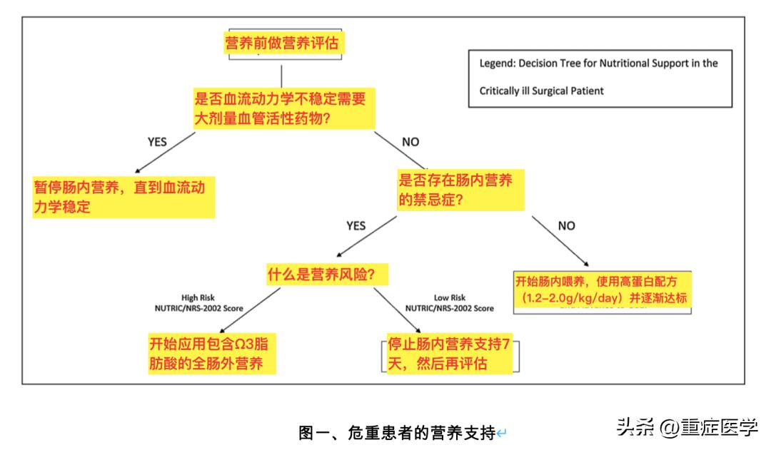 外科危重病人的营养治疗