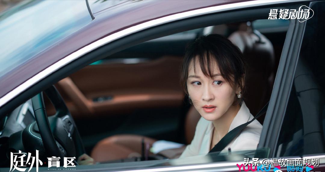 8月王炸电视剧推荐,好看的电视剧推荐2020总共24集