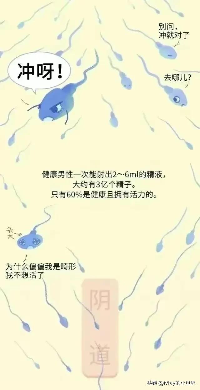 精子进入女性体内，会发生什么？