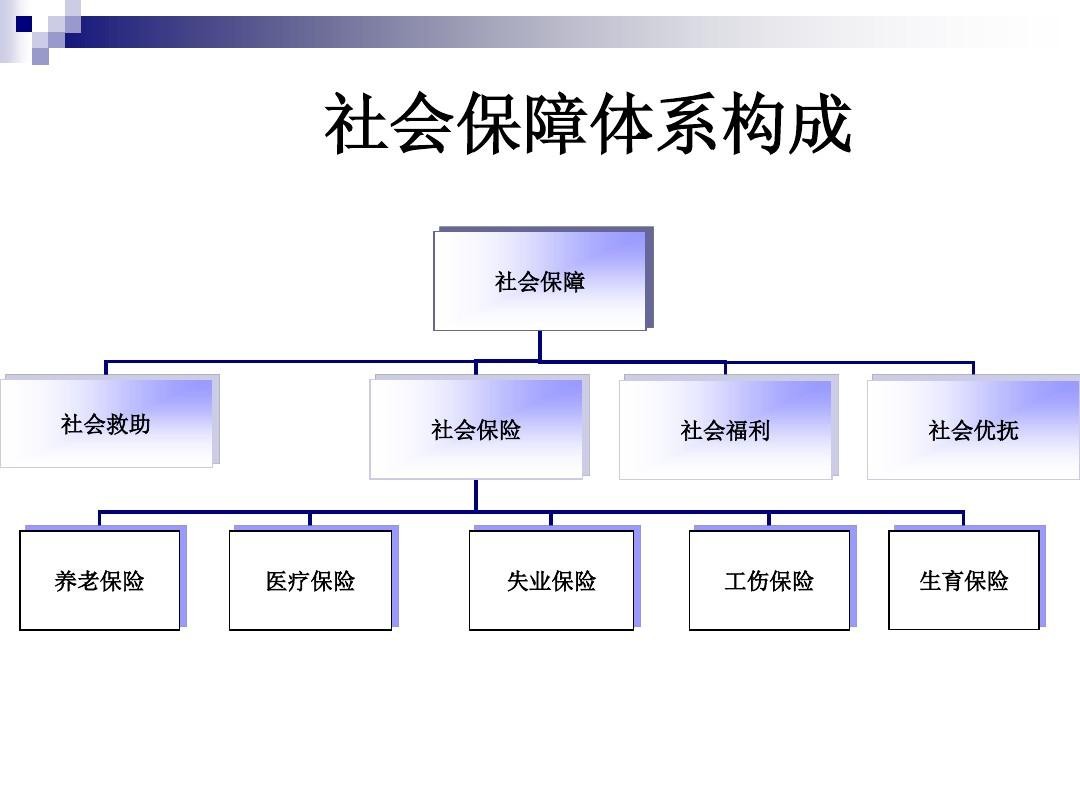 国家建立基本养老金调节机制,养老金制度设计原则