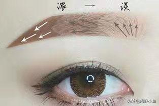 爱化妆的你是否还在为画眉而烦恼?