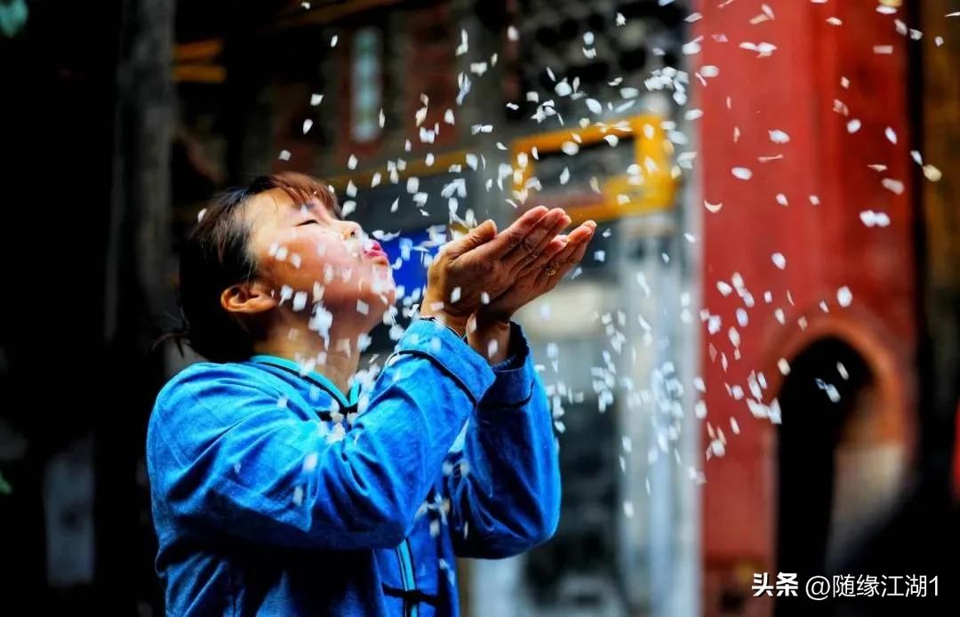 你所不知道的中草药,你不知道的国药秘密