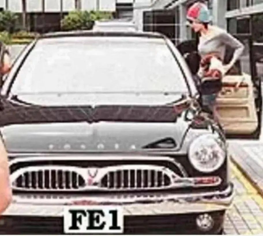 锋菲20年前,锋菲重逢