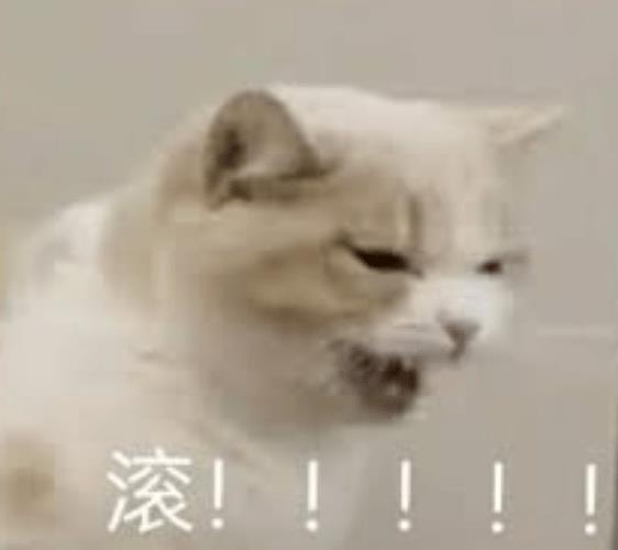 爱情高潮部分,爱情高潮版