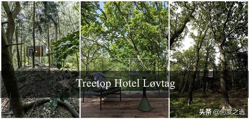 森林里的“树屋”：丹麦森林中建造的酒店，美到让人窒息