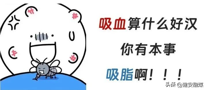 比其他人更容易被蚊子咬,容易被蚊子咬的原因是什么