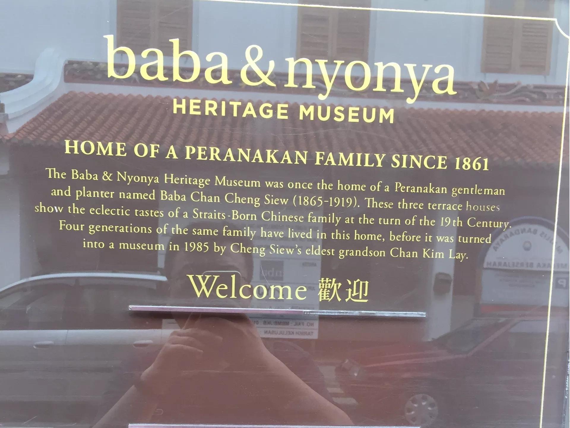 钱猫猫王者荣耀,钱猫猫的视频