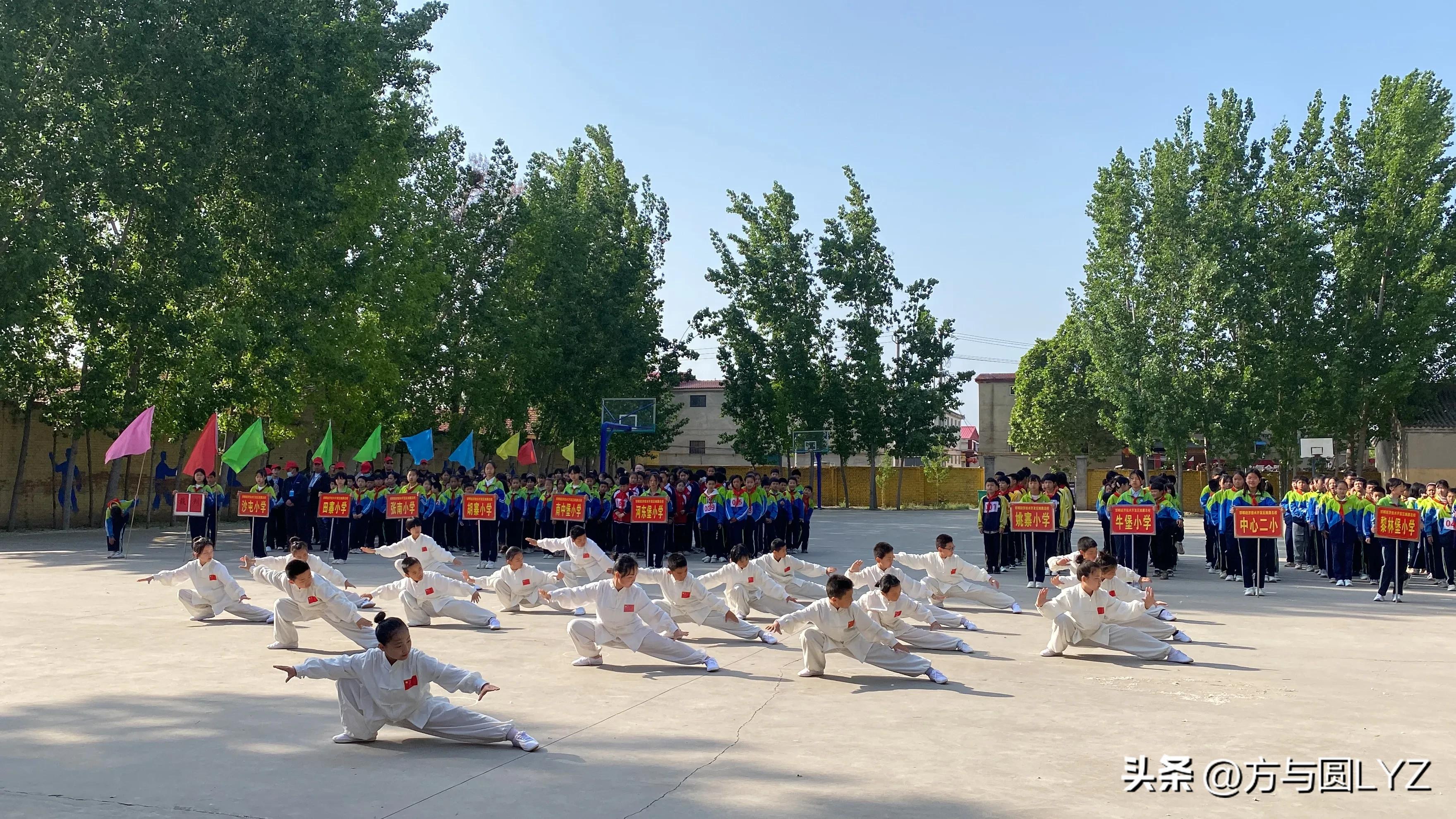 学太极练身韵,学太极去哪里学