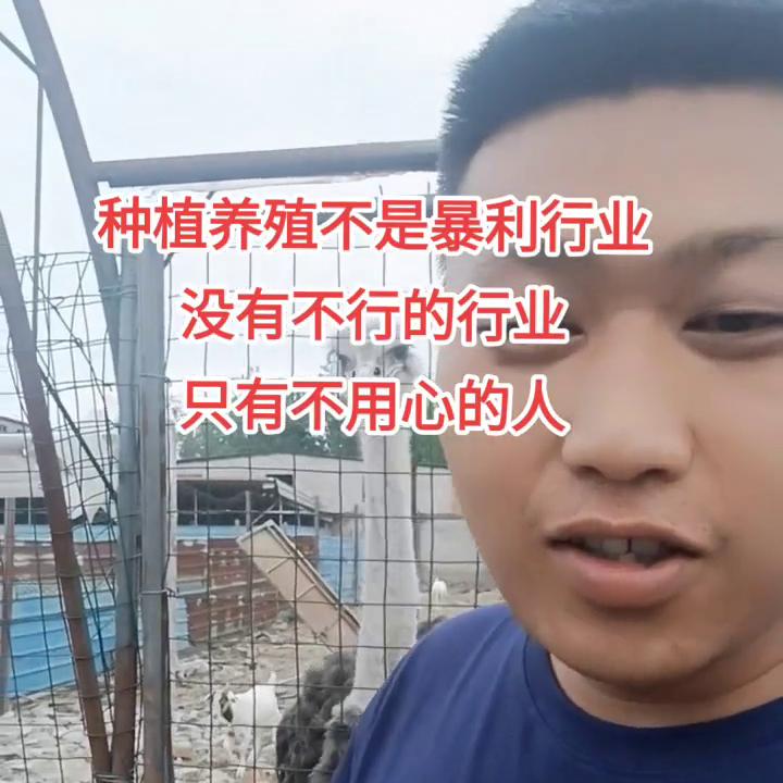 养殖创业哪个行业最好,做生意养什么比较好