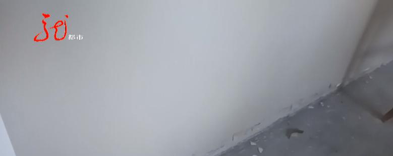 哈尔滨富力城三期精装修标准,哈尔滨富力城精装房问题