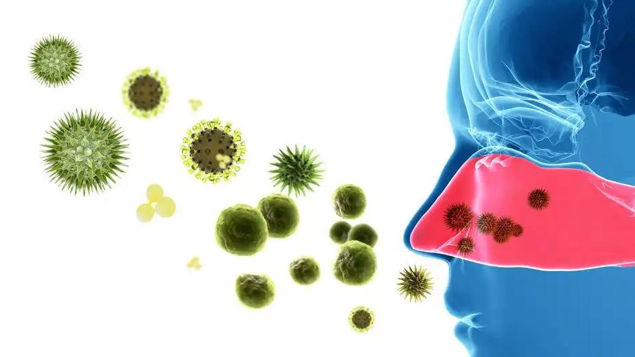 壁虎可怕,壁虎很可怕