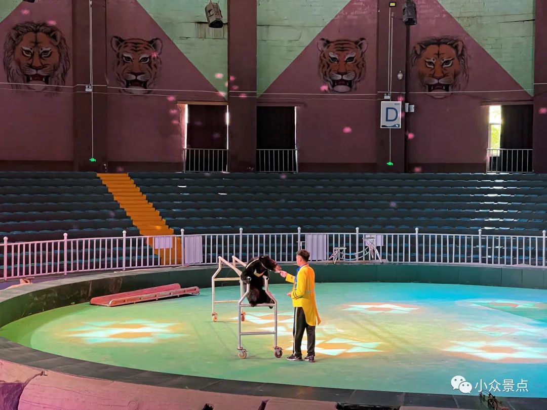 珍珠泉风景区：江北第一游观之所，南京后花园，老山绿色天堂~