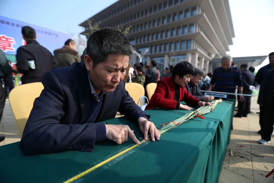 为什么叫山东大葱,为什么大葱用葱白不用葱绿