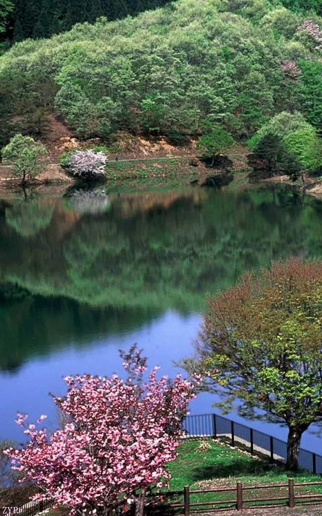 100张美照！真养眼