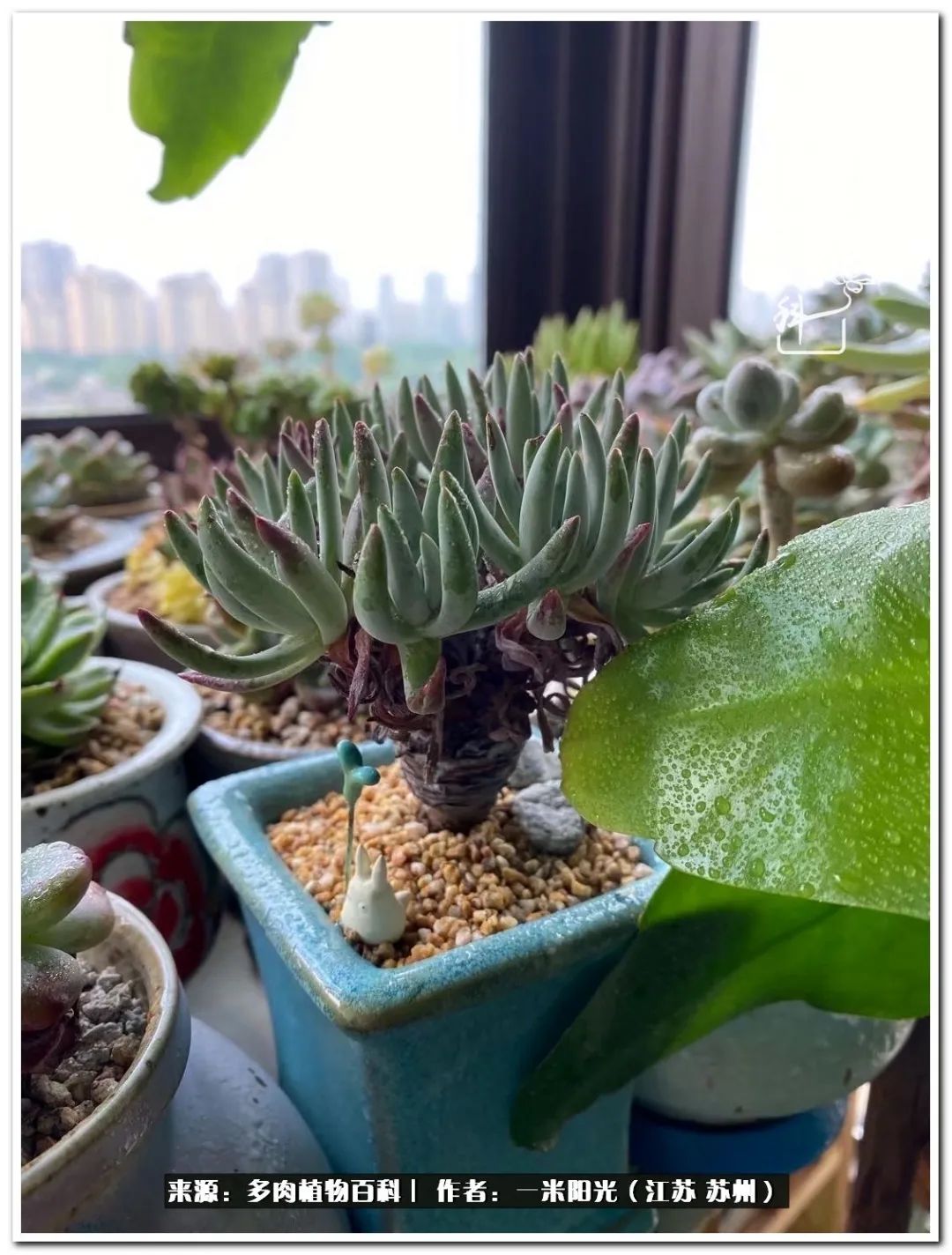 幸福就是珍惜当下所拥有的,珍惜当下所拥有的才是幸福的