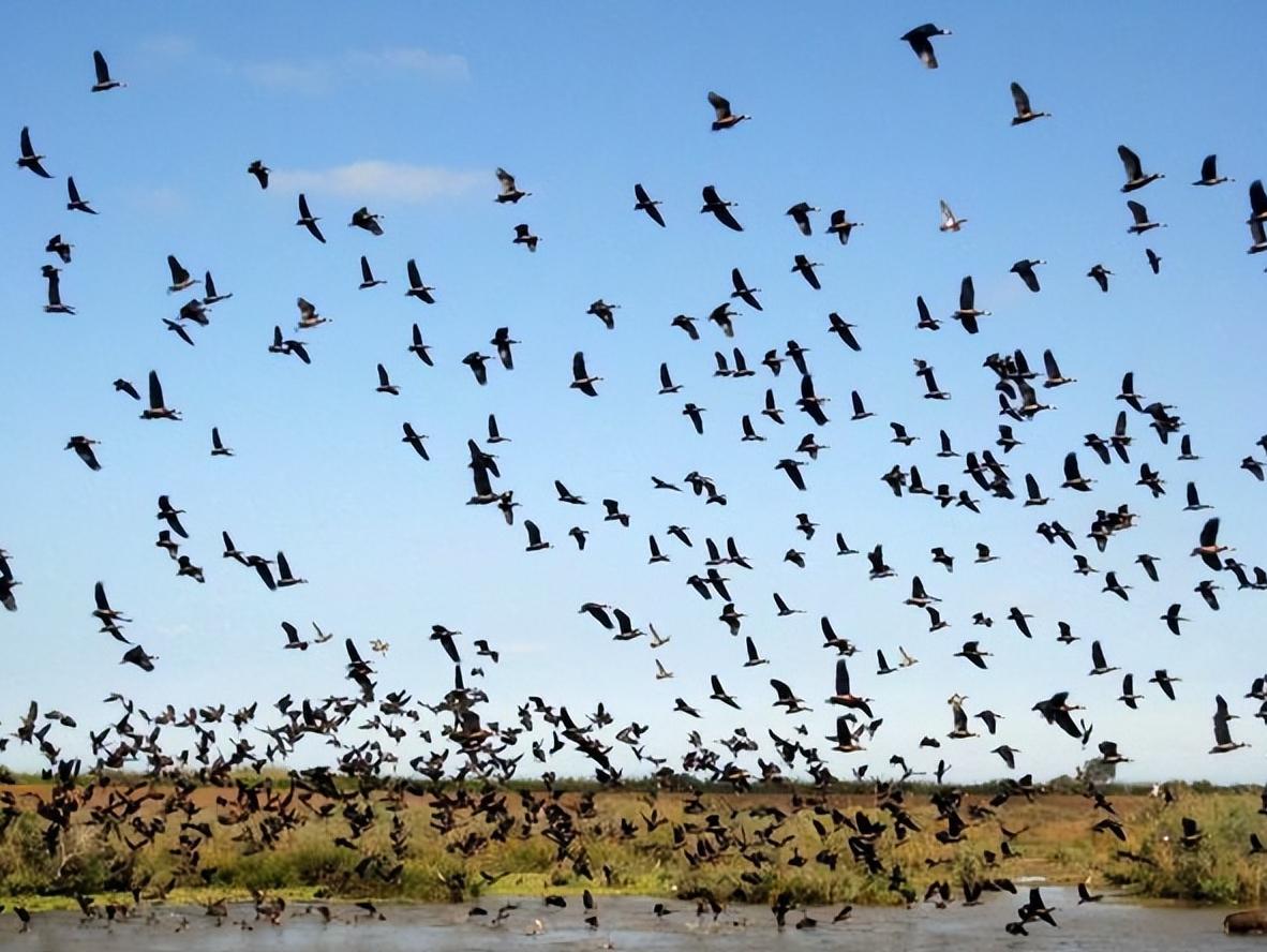 塞内加尔旅游真实感受,一起来看看真实的古巴