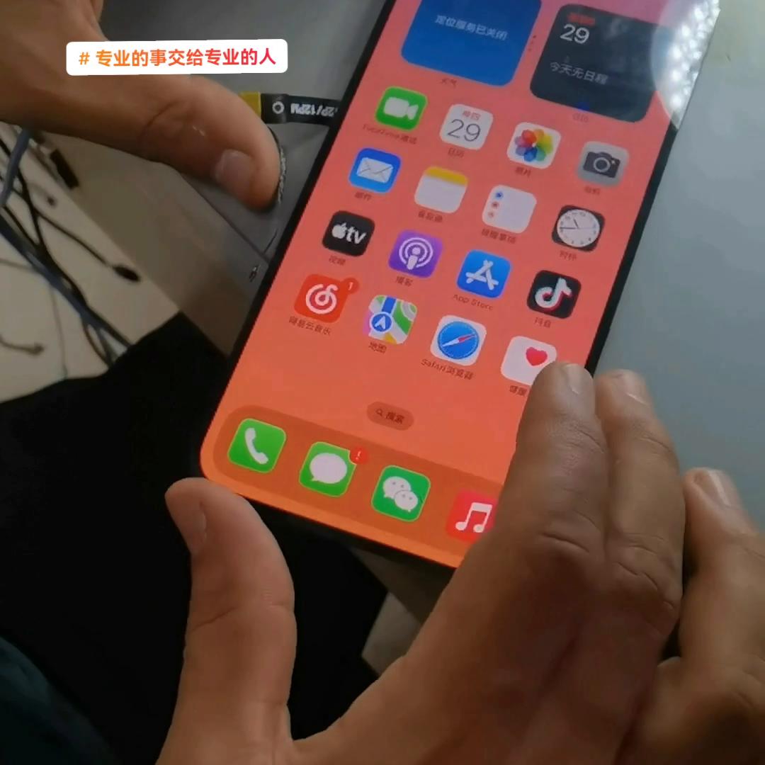 进水苹果手机屏幕变黑了,进水苹果手机发绿