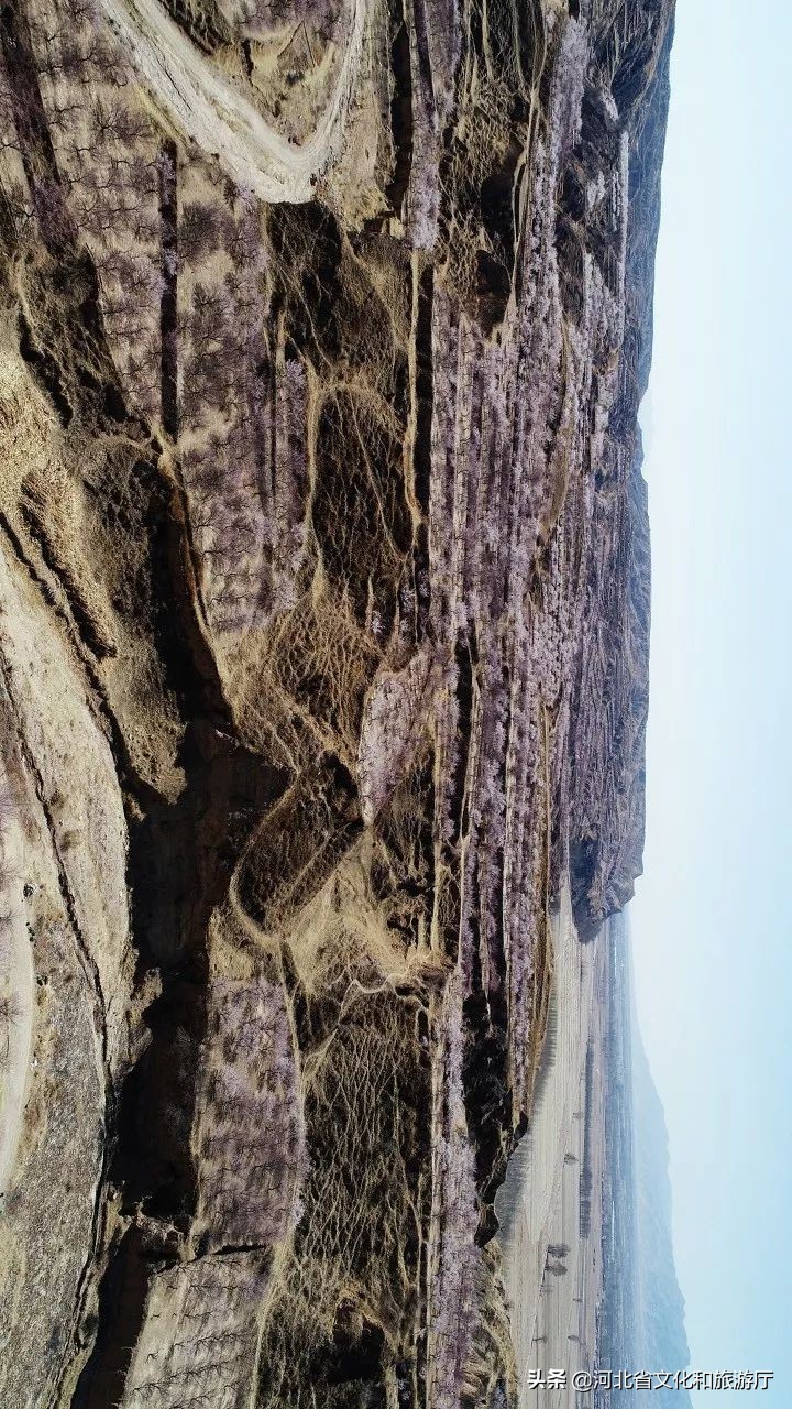 张家口如何从“旱码头”逆袭为“国际张”？