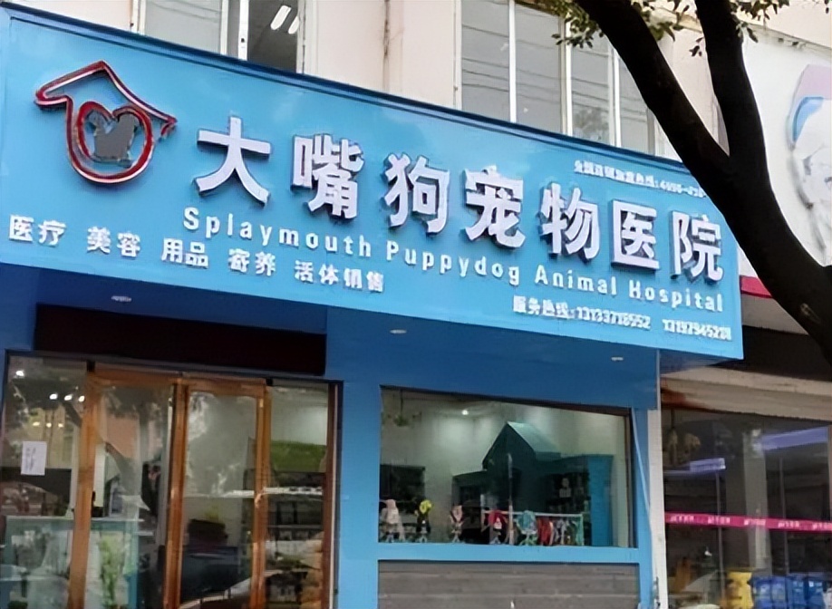开宠物店加盟连锁排行榜,十大宠物店加盟商排行榜