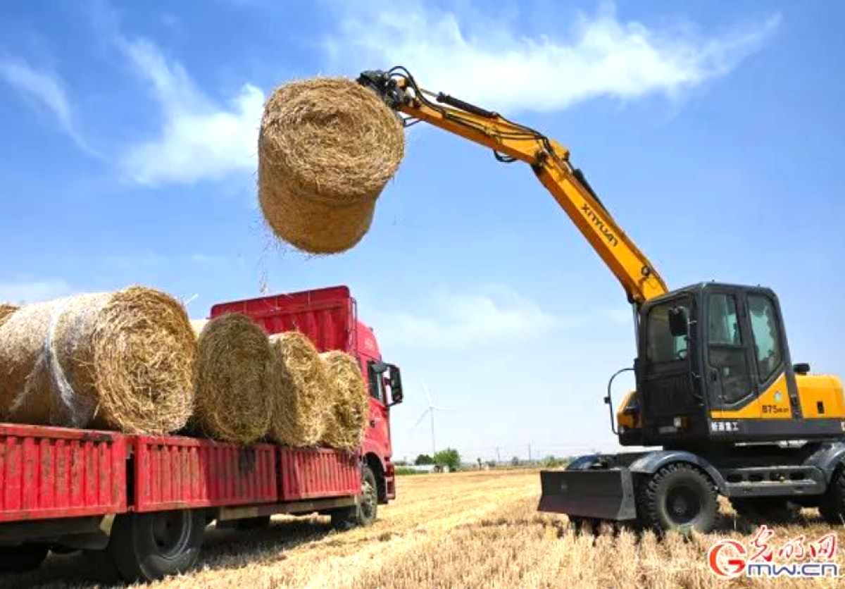漯河驿城区乡村振兴项目,农村产业融合发展示范园漯河