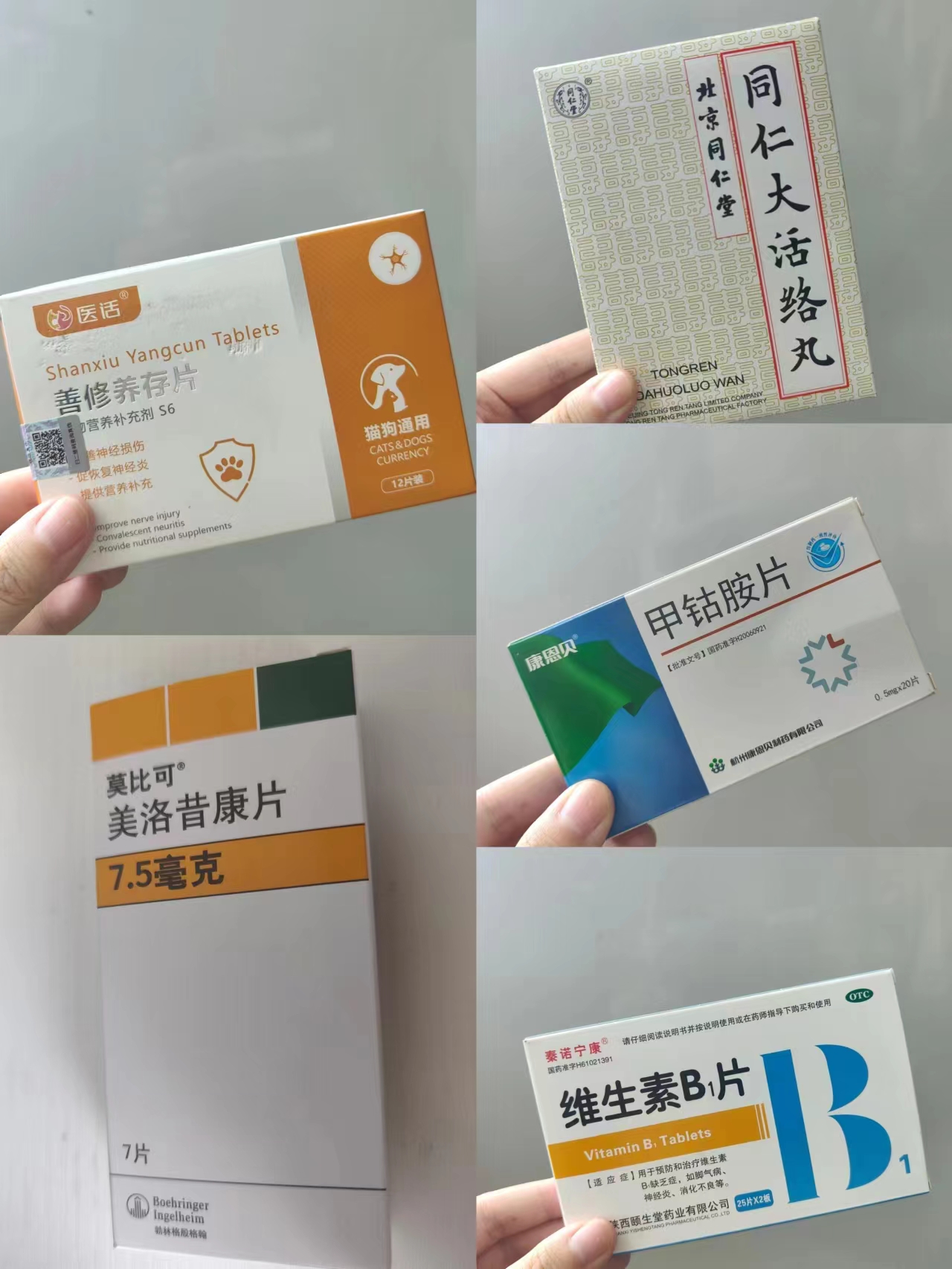 狗狗神经炎瘫痪多久能恢复,狗狗神经炎吃了药不好怎么办