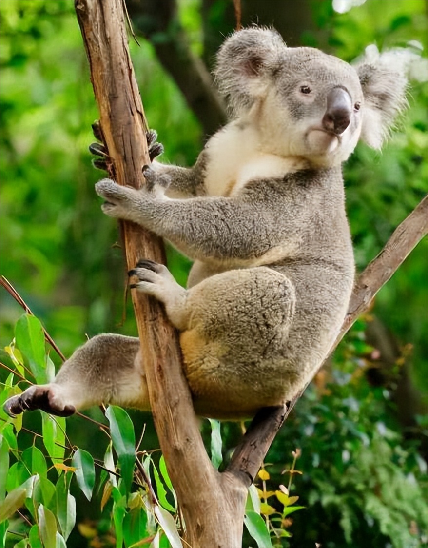 广州长隆酒店童趣乐园,广州游玩长隆性价比超高的酒店