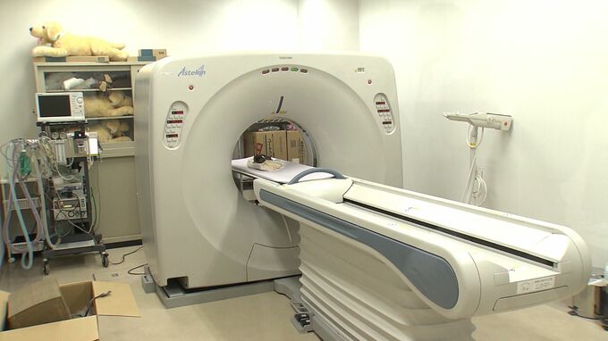 日本学者研究300岁木乃伊美人鱼,按照进化论美人鱼可能存在吗