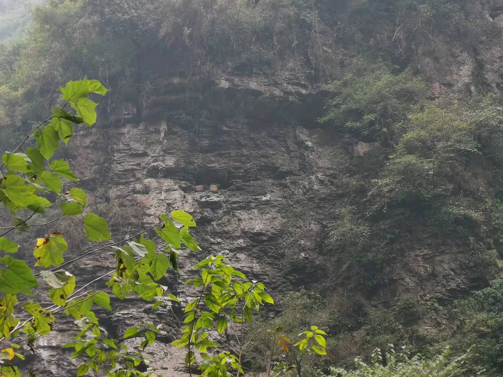 三峡人家和巫山三峡哪个好玩,三峡人家三峡大坝一日游价格