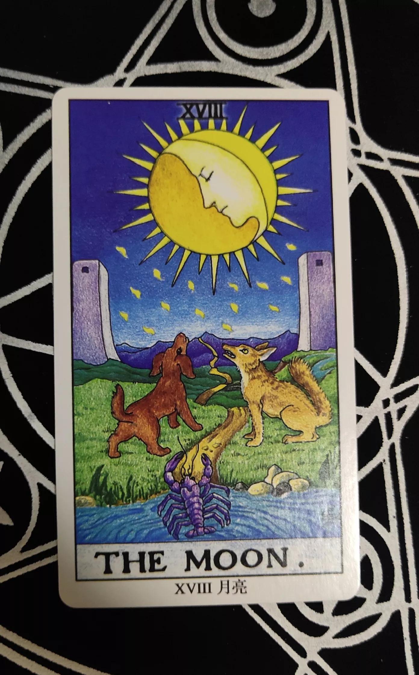 塔罗牌中12星座代表牌是什么,十二星座塔罗牌如何解读