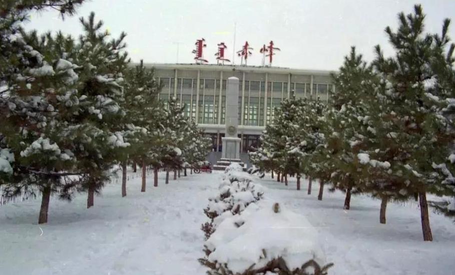 大叔因救人获赠“小石头”，20多年后发现：这是价值2亿的夜明珠